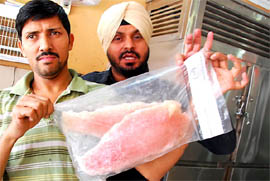 The owner of Ranjit Poultry Farm shows the Basa fish, which is relished by the kabaddi players staying in Bathinda.