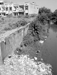 Garbage lies scattered in a nullah.