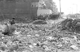Litter strewn in a residential area. 