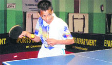 A player in action during a table tennis match held at Sector 28 in Chandigarh on Sunday. 