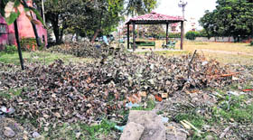 Garden waste dumped near a sitting area of a park in Sector 33.