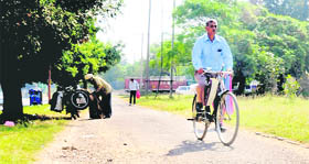 A cyclist pedals his way in Chandigarh. Tribune photo: Pradeep Tewari