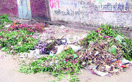 Heaps of garbage in a street in Mandi Ahmedgarh.