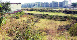 Low-lying plots at Maharaja Ranjit Singh Avenue in Jalandhar.