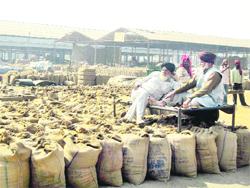 Farmers at the Grain Market, Jagraon
