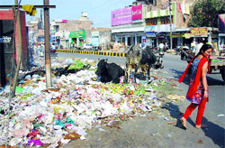 Unable to bear the stench emanating from a heap of garbage near the Bank Bazaar, a woman covers her nose while walking past