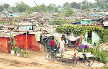 A file photo of colony No 5 in Sector 50, Chandigarh.