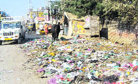 A heap of garbage strewn on Raikot Road, in Jagraon.