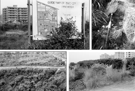 Wild grass covers the guide map at the entrance to Sector 27, Panchkula; An uncovered water pipeline at Sector 27, Panchkula; Wild growth on vacant pieces of land in Sector 27, Panchkula