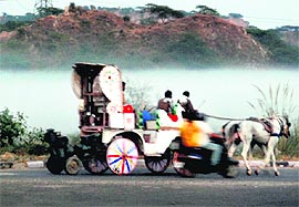 The burning of garbage makes it difficult for this horse cart driver to find way in Panchkula