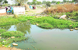 Waterlogging in the absence of a sewerage system in Colony No. 5.