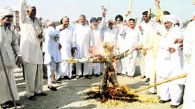 BKU leaders burn an effigy of Union Agriculture Minister Sharad Pawar in the New Anaj Mandi in Kaithal.