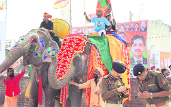 Elephants were made to stand for over two hours in violation of the Wildlife Act outside the venue of the Jan Chetna rally at the Pathankot bypass in Jalandhar. 