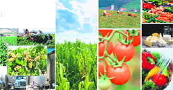 Agri-business management involves conducting successful business in the food and 