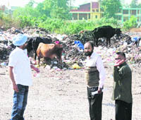 Shopkeepers point towards the garbage dump which is situated at the rear of Orient Cinema at Bhai Randhir Singh Nagar in Ludhiana.