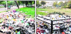 Garbage on the roadside at Sector 47 (left); and in a park at Sector 22