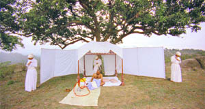 A still from the film on Nainsukh