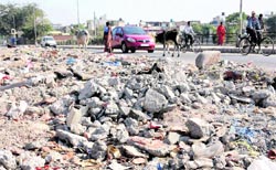 Heaps of garbage lying on roadside at Mauli Complex, Chandigarh