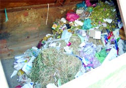 The biomedical waste thrown in a garbage container in the Civil Hospital in Amritsar