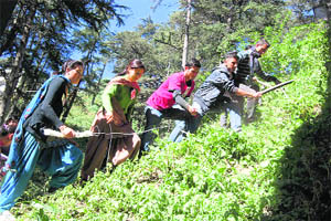 SFI activists take part in a cleanliness drive at Sanskrit College, Fagli, in Shimla on Friday. 