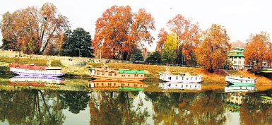 Chinar trees on the banks of the Jhelum present a beautiful sight in Srinagar