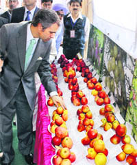 Chief Minister Omar Abdullah looks at different varieties of apples at the Fruit Show-2011 in Jammu on Saturday. 
