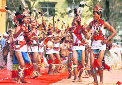 Firkal dance is an enactment of hunting scenes. The focus is on raw macho courage