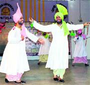 Punjabi University students dance on the concluding day of the Folk Festival in Patiala on Sunday.