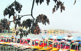 Shikaras at the Dal Lake in Srinagar. The Kashmir valley looks its picturesque best at this time of the year. 