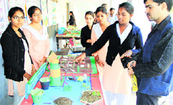 Students display models during the district-level science exhibition at Government Girls School on Ladowali Road in Jalandhar