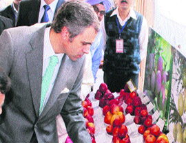 Chief Minister Omar Abdullah looks at different varieties of apples at 
