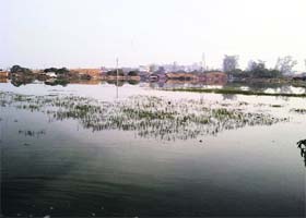 Sewage has inundated a piece of land for an advanced training institute at Doraha