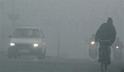 Foggy days are here Vehicles move at a snail's pace as fog reduces visibility in Jalandhar