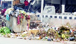 Heaps of garbage lie scattered on the Lawrence Road in Amritsar