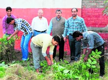 Male volunteers remove weeds from the college ground at a one-day National Service Scheme camp in Kurukshetra