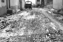 A muddy road in Ward No. 14 of Zirakpur.