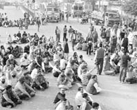 Members of the Punjab State Veterinary Inspectors Association block the Mohali-Chandigarh national highway on Saturday. 
