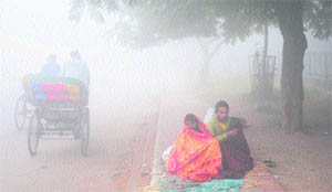People sit along the roadside on a cold and foggy morning near Sector 13 in Karnal.