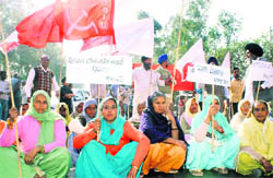 Farmers protest at the Rajpura-Patiala highway