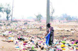 Heaps of garbage dumped on the Disposal Road in Jagraon.