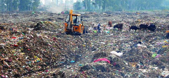 The garbage dumpyard at Bhagtawala in Amritsar.