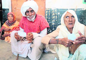Elderly voters await their turn to exercise their franchise in the Nalagarh Assembly constituency on Wednesday.