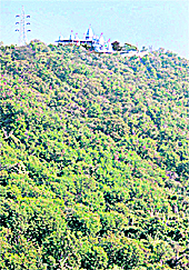The Mahamaya temple atop a hillock in a dense