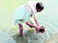 A man takes out iron tablets from a canal near Ratia town