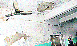 The corridor leading to the maternity ward of the Jalandhar Civil Hospital presents an unwelcoming picture as plaster from the wall and the roof have come out. 