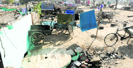 Thanks to the Chandigarhs policy on rehabilitation of slums on its border with Mohali, unhygienic conditions, filth and rehris dot open spaces at Sectors 53 (left) and 56.