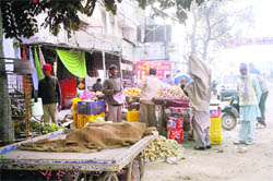 Vendors have encroached upon the Kohara Road at Sahnewal, causing inconvinience to motorists