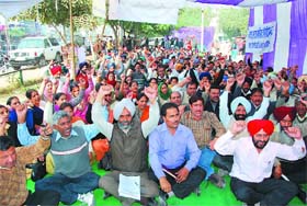 Pharmacists stage a dharna in front of the Mini- secretariat in Bathinda on Wednesday