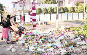 Municipal waste spread on a road near Valmiki Chowk in Jammu on Tuesday. The JMC has no specific place for dumping garbage. 