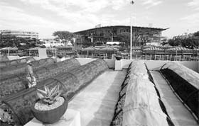 A rooftop garden on a building across the street from the International Convention Centre (top) where the United Nations Climate Change Conference (COP17) continues in Durban on December 7, 2011